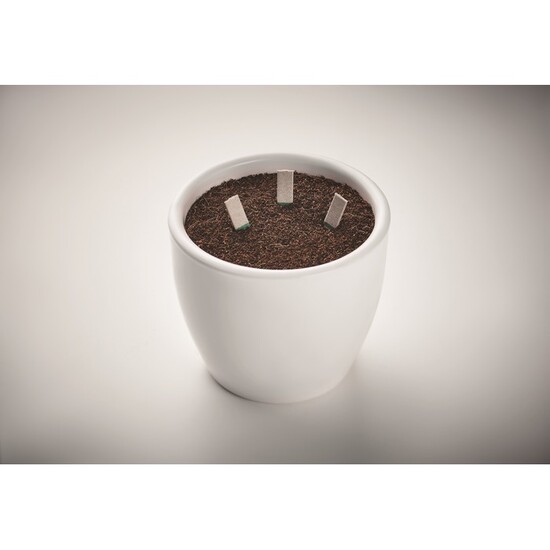 Kräutersamen-Sticks