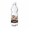 500 ml PromoWater - Mineralwasser zur Fußball Europameisterschaft - Eco Papier-Etikett 2P004Pf