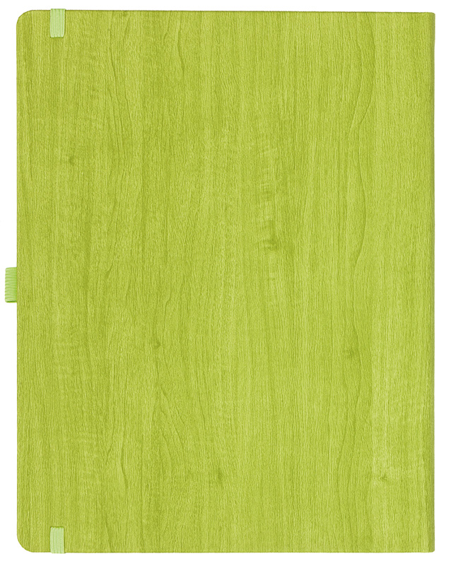 Notizbuch Style Large im Format 19x25cm, Inhalt blanco, Einband Woody in der Farbe Lime