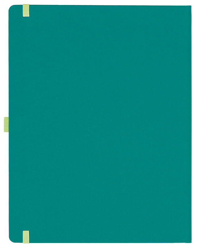 Notizbuch Style Large im Format 19x25cm, Inhalt kariert, Einband Fancy in der Farbe Laguna