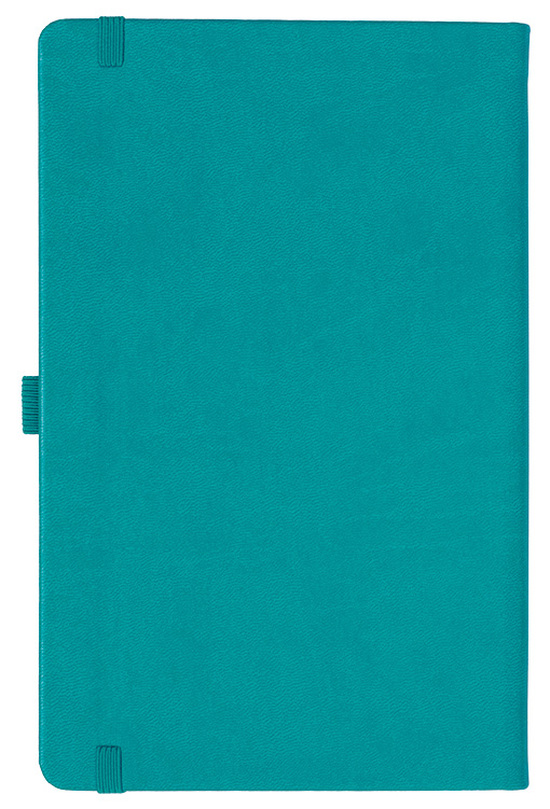 Notizbuch Style Medium im Format 13x21cm, Inhalt liniert, Einband Slinky in der Farbe Turquoise