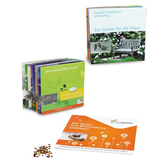 Samen-Karte - Margerite