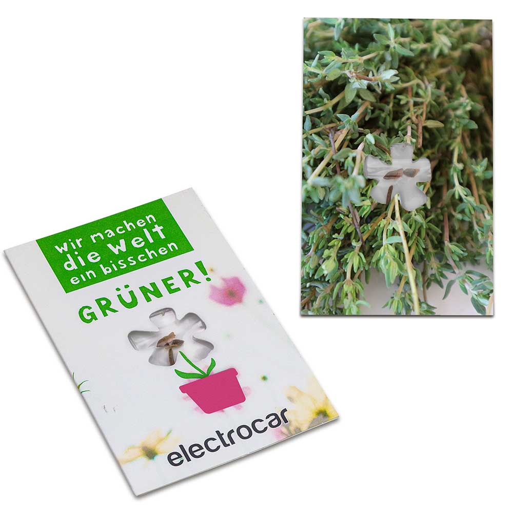 Samen-Karte-Mini Blume - Thymian