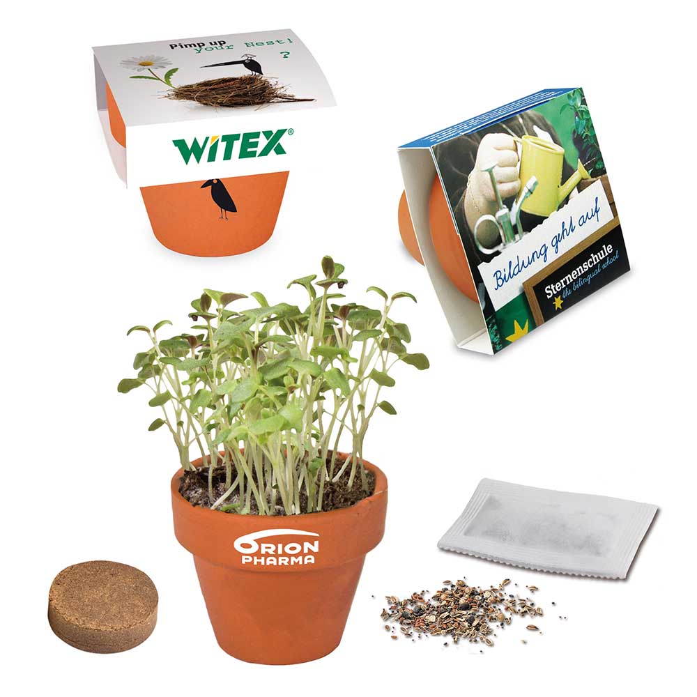 Logo-Töpfchen Banderole mit Samen - Sonnenblume