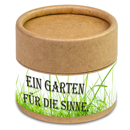 Pflanz-Cup mit Samen - Fichte