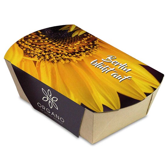 Pflanz-Schale mit Samen - Sommerblumenmischung