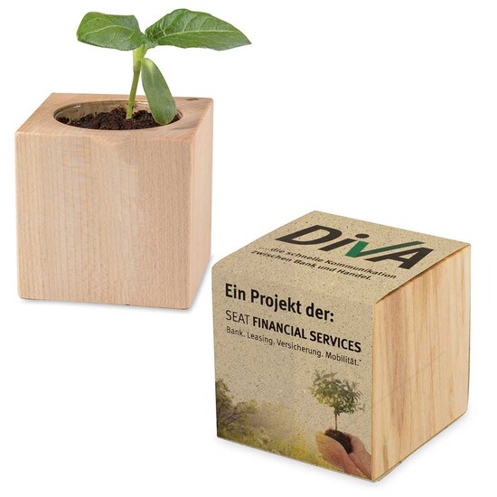 Pflanz-Holz mit Samen (Graspapier-Banderole) - Gewürzpaprika