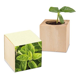 Pflanz-Holz mit Samen (Graspapier-Banderole) - Majoran, 1 Seite gelasert