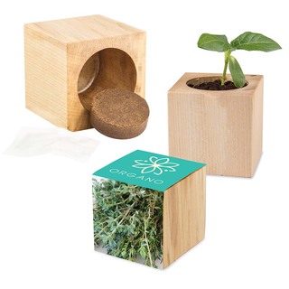 Pflanz-Holz Maxi mit Samen - Thymian, 1 Seite gelasert