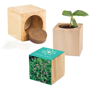 Pflanz-Holz Maxi mit Samen - Persischer Klee, 2 Seiten gelasert