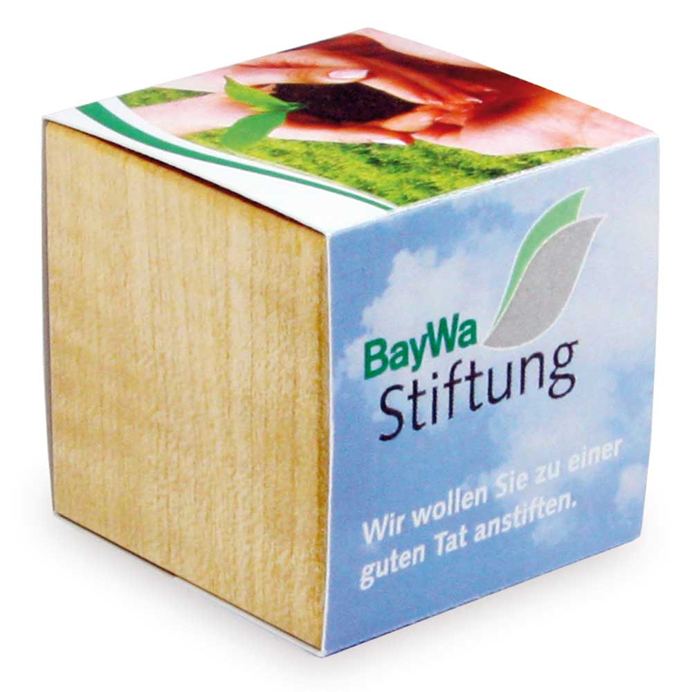 Pflanz-Holz Magnet mit Samen - Gartenkresse