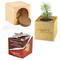 Pflanz-Holz Star-Box mit Samen - Fichte, 2 Seiten gelasert