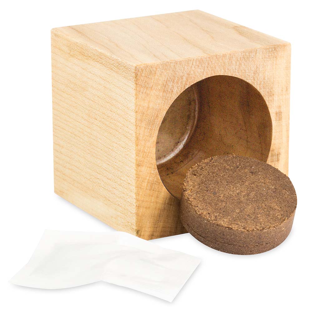 Pflanz-Holz Star-Box mit Samen - Margerite, 2 Seiten gelasert