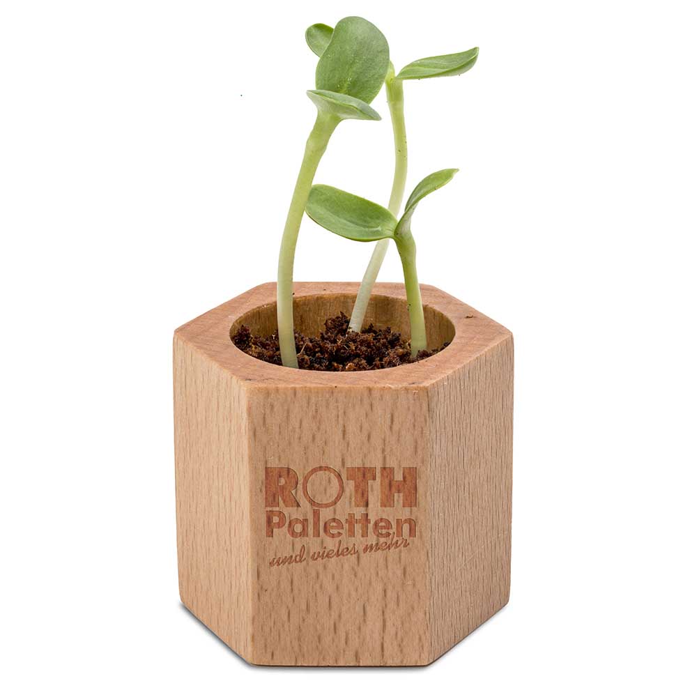 Pflanz-Holz Hexagon mit Samen - Gewürzpaprika, 1 Seite gelasert