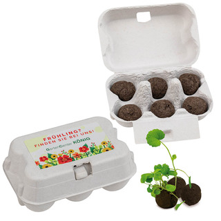 Sixpack - Flower-Balls Midi mit Samen mit Samen