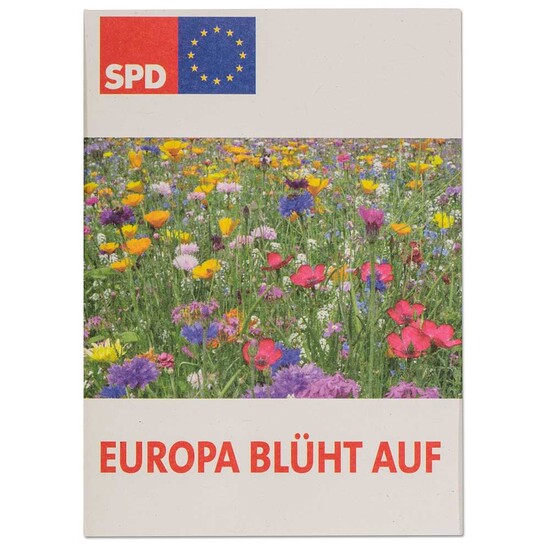 Samentütchen Mini - Recyclingpapier - Margerite