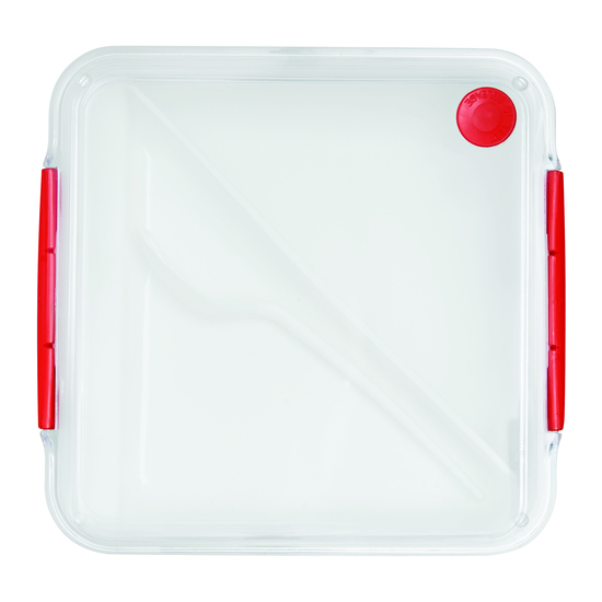 Lunchbox DELICIOUS