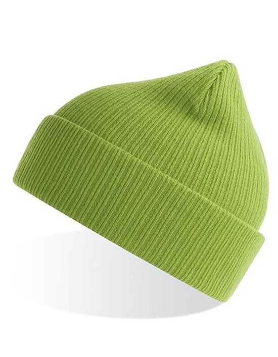 AT116 Nelson Beanie