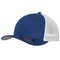 Flexfit Mesh Trucker 2-Tone Cap