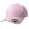 Curved Classic Snapback