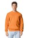Softstyle® Midweight Fleece Adult Crewneck Sweatshirt