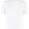 Regular Fit Cooltex® Plus Pique Polo