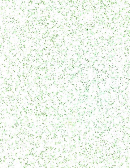 Poli-Flex® Pearl Glitter